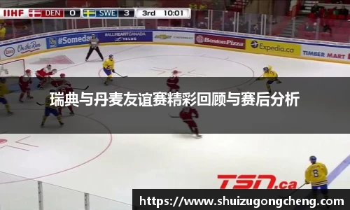 瑞典与丹麦友谊赛精彩回顾与赛后分析